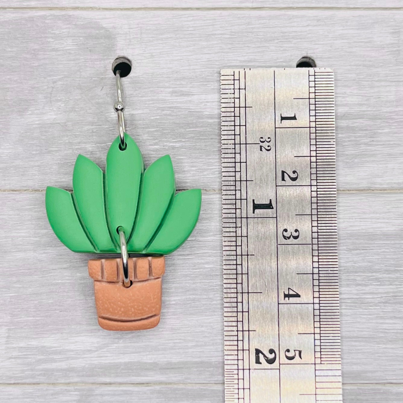 Potted Plants
