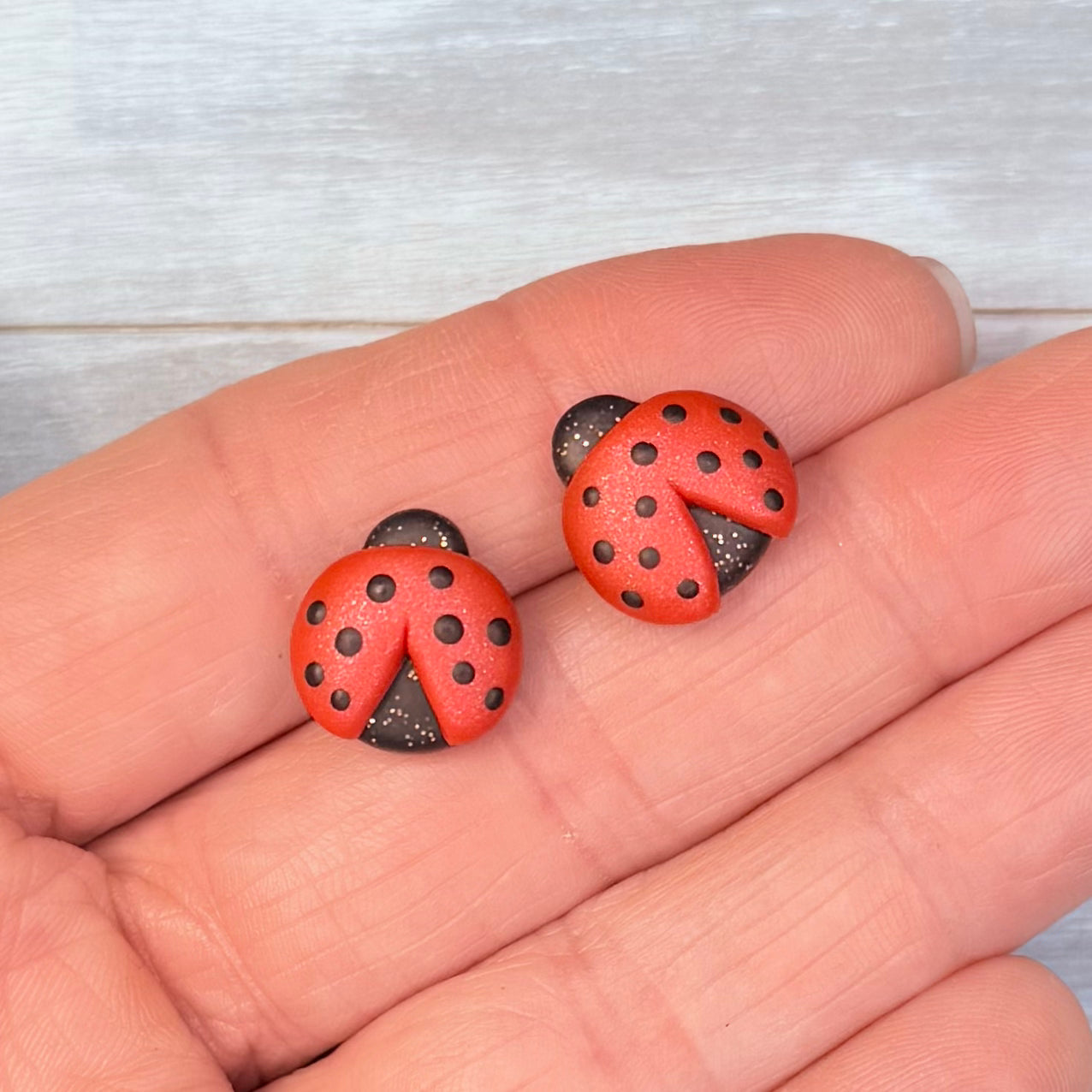 Ladybug Studs