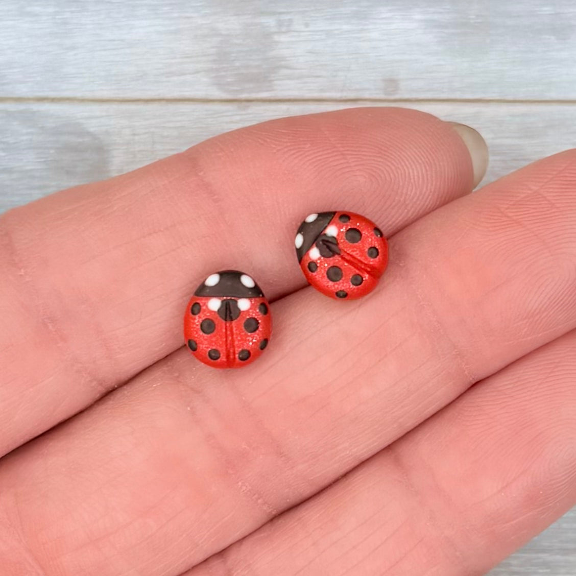 Ladybug Studs
