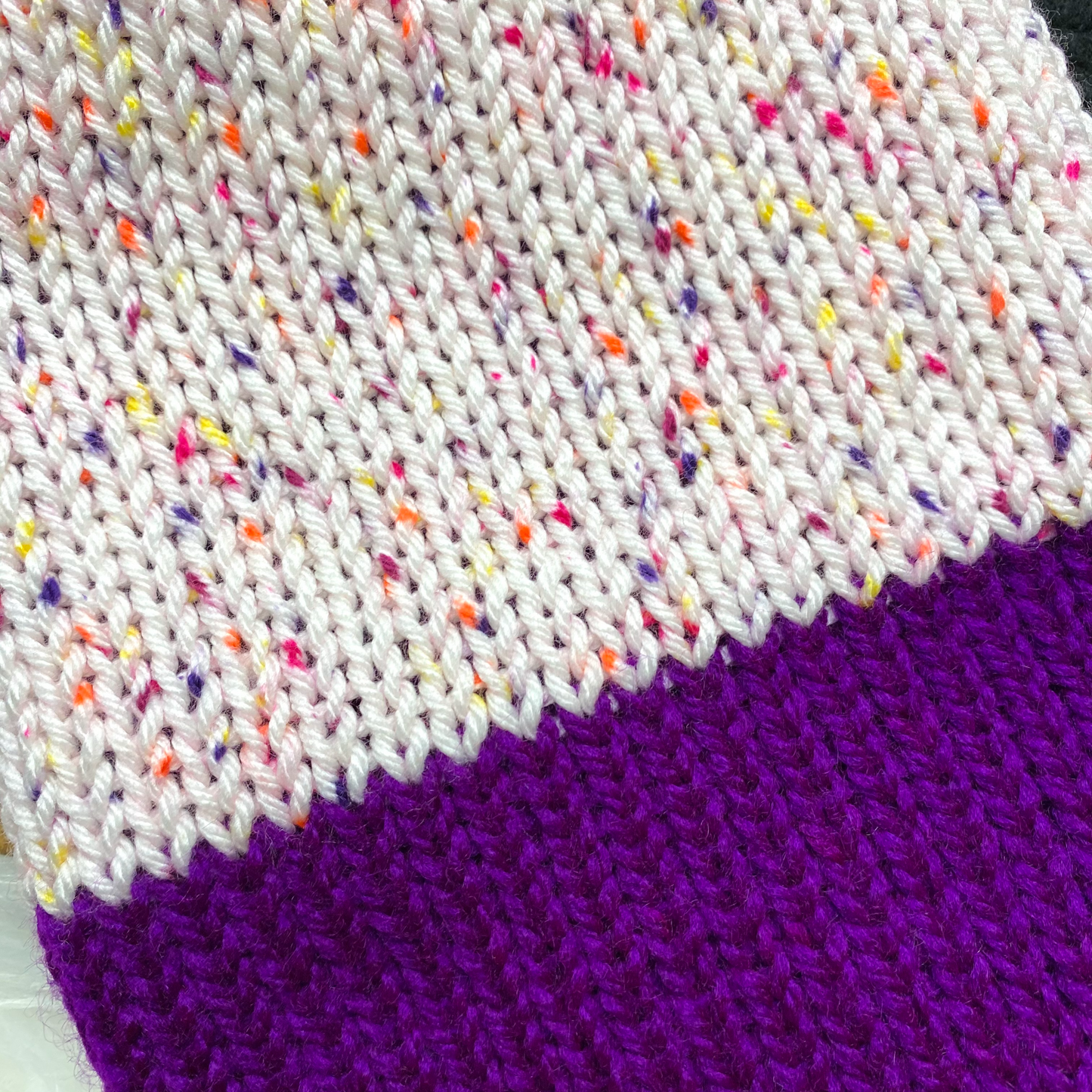 Fruity Speckles w/ Purple Brim Slouchy Beanie